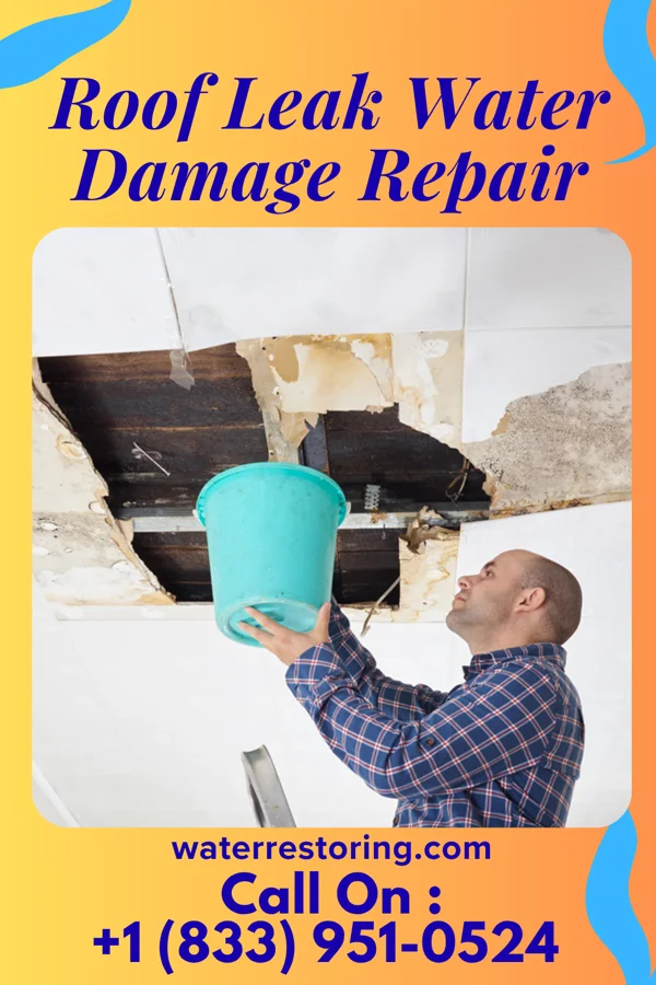 Roof Leak Water Damage Repair in Newport Beach, CA